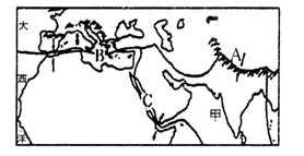 图片_x0020_100019