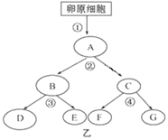 图片_x0020_1396690429