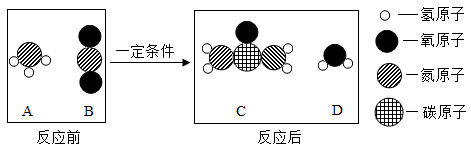 图片_x0020_2051929527