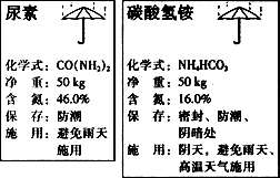 图片_x0020_100036