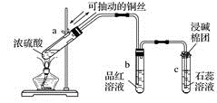 图片_x0020_78335705
