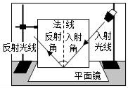 图片_x0020_1518722984