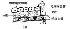 图片_x0020_898735272