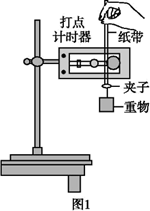 图片_x0020_100026