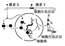 图片_x0020_186569860