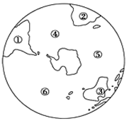 图片_x0020_779231870