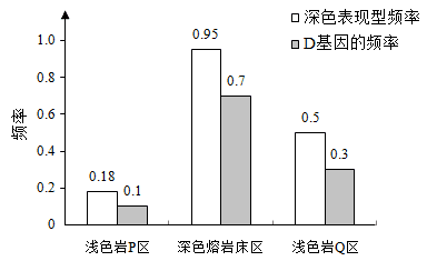 图片_x0020_693382094