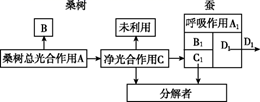 图片_x0020_1173508954
