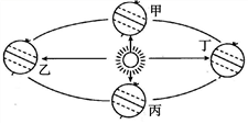 图片_x0020_1225975187