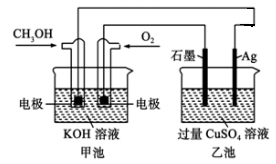 图片_x0020_100009
