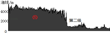 图片_x0020_1782957135
