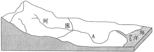 图片_x0020_100011