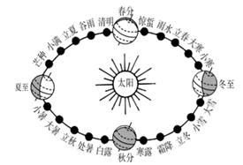 图片_x0020_100002