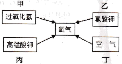图片_x0020_100016