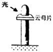 图片_x0020_100002