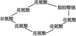 图片_x0020_100001