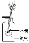 图片_x0020_1070362847