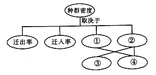图片_x0020_100001