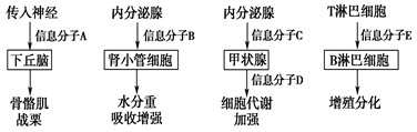 图片_x0020_698480920