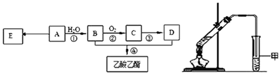 图片_x0020_100026
