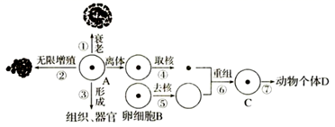 图片_x0020_100018