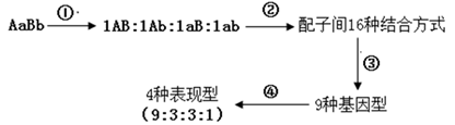 图片_x0020_706359637