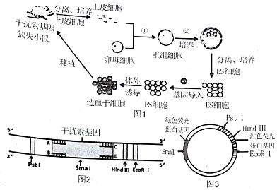 图片_x0020_792068368