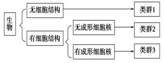 图片_x0020_33