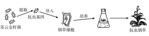 图片_x0020_2