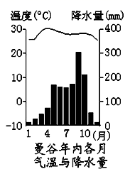 图片_x0020_100002