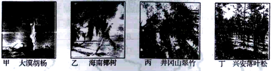 图片_x0020_5