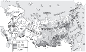 图片_x0020_100016