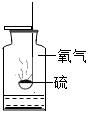 图片_x0020_100005