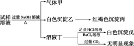 图片_x0020_100051