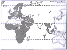 图片_x0020_100008