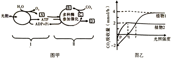 图片_x0020_100009