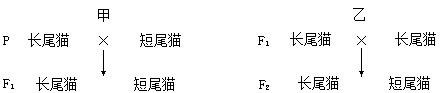 图片_x0020_100001