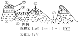 图片_x0020_100004
