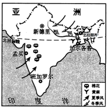 图片_x0020_100009