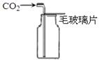 图片_x0020_100003