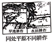图片_x0020_100004