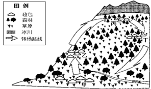 图片_x0020_100016