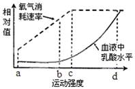 图片_x0020_1998392930