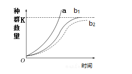 图片_x0020_362966966