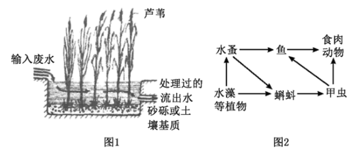 图片_x0020_100006