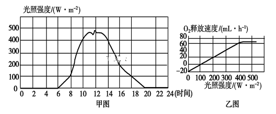 图片_x0020_100003