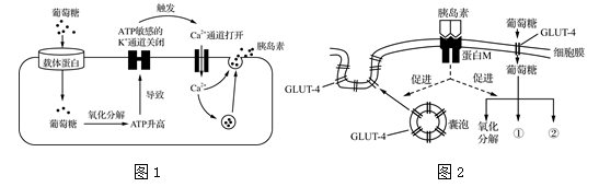 图片_x0020_1539694771