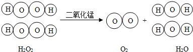 图片_x0020_100005