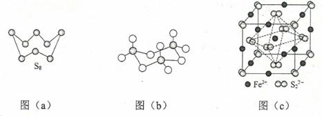 图片_x0020_1100355635