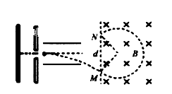 图片_x0020_100008